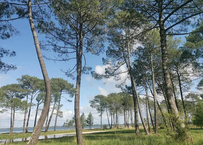 Appartements Au Coeur Du Golf, Proche Du Lac Et Velodyssee