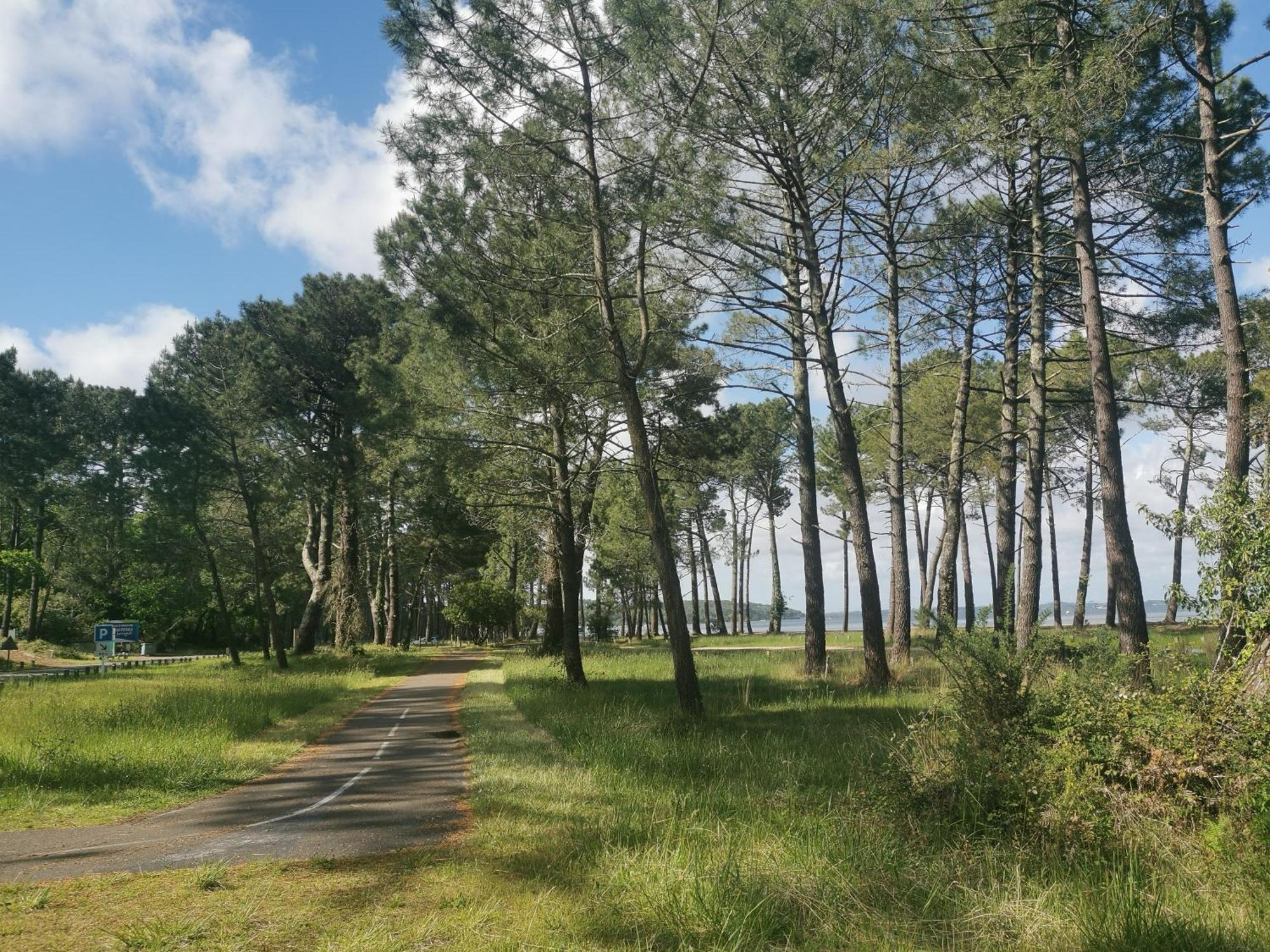 Au Coeur Du Golf, Proche Du Et Velodyssee Apartment *