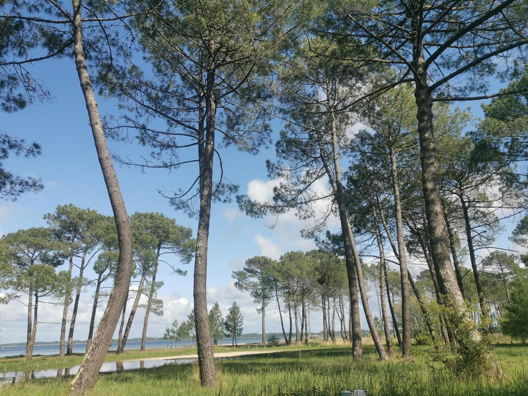 Au Coeur Du Golf, Proche Du Et Velodyssee Apartment *